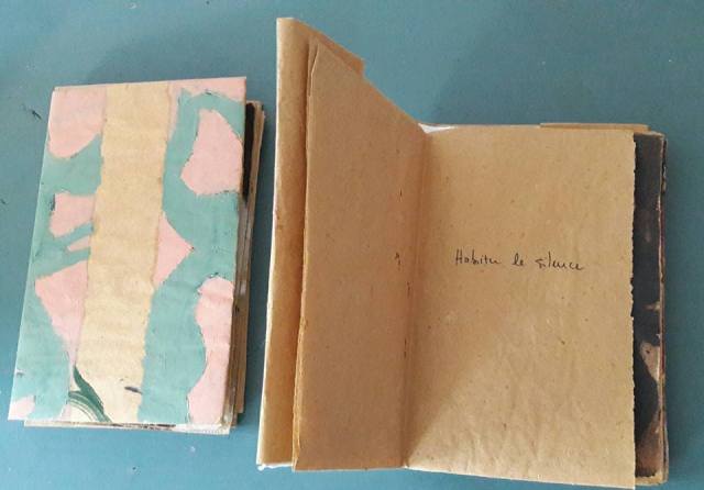 22141041_372706309827173_4535737803837014363_n