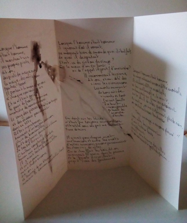 52967804_639939853103816_6685310458162839552_n