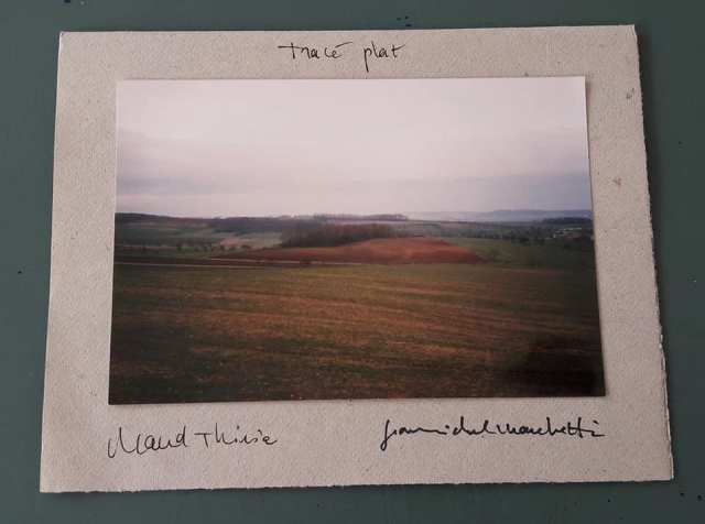 56544646_664102470687554_584204204675956736_n