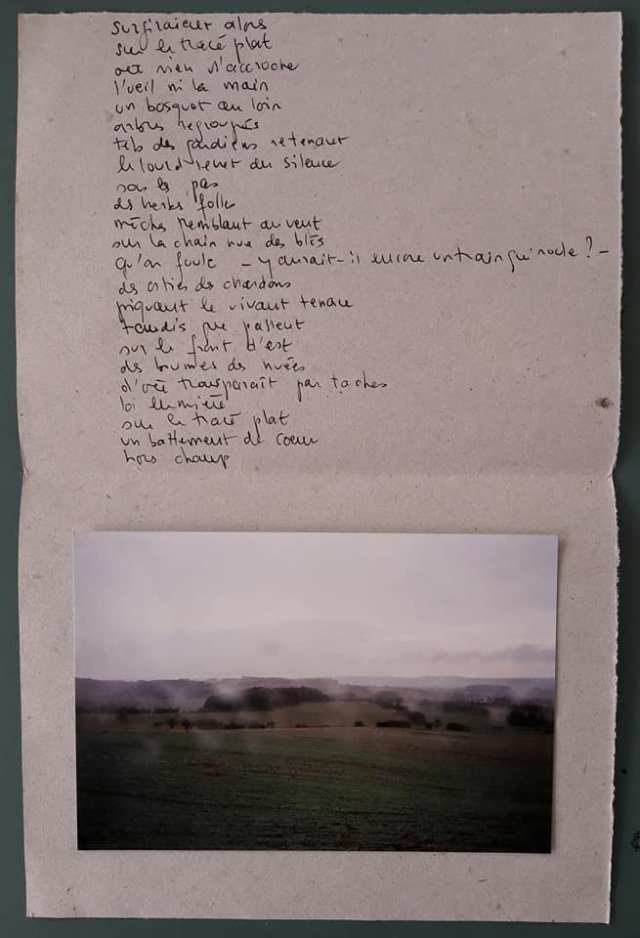 56726551_664102437354224_282492063621054464_n