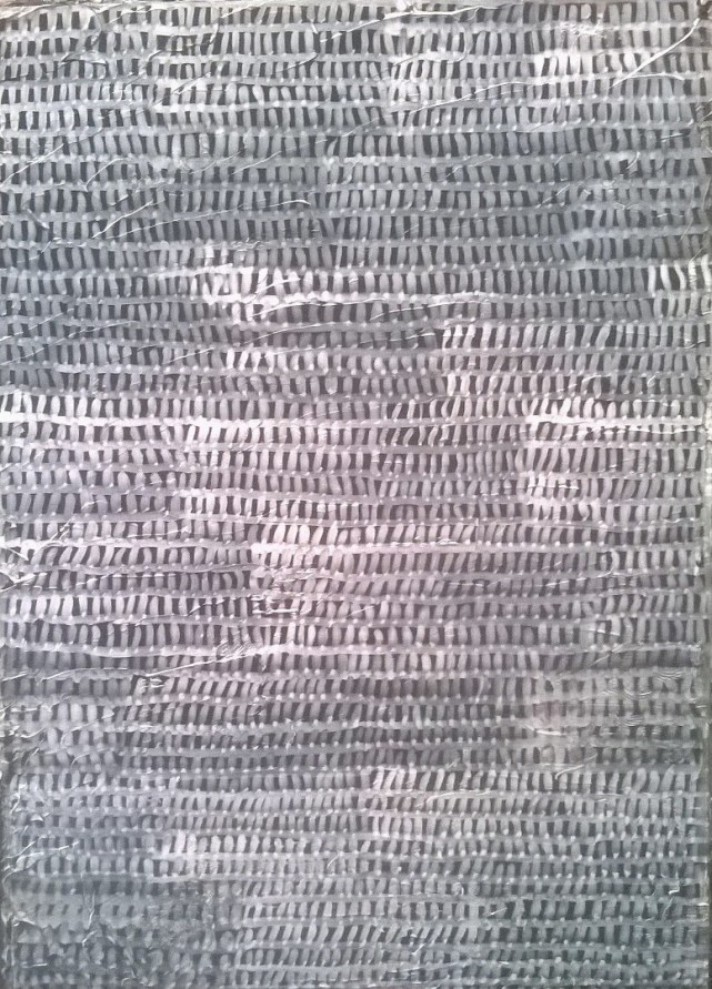 WP_20170306_005[6135]